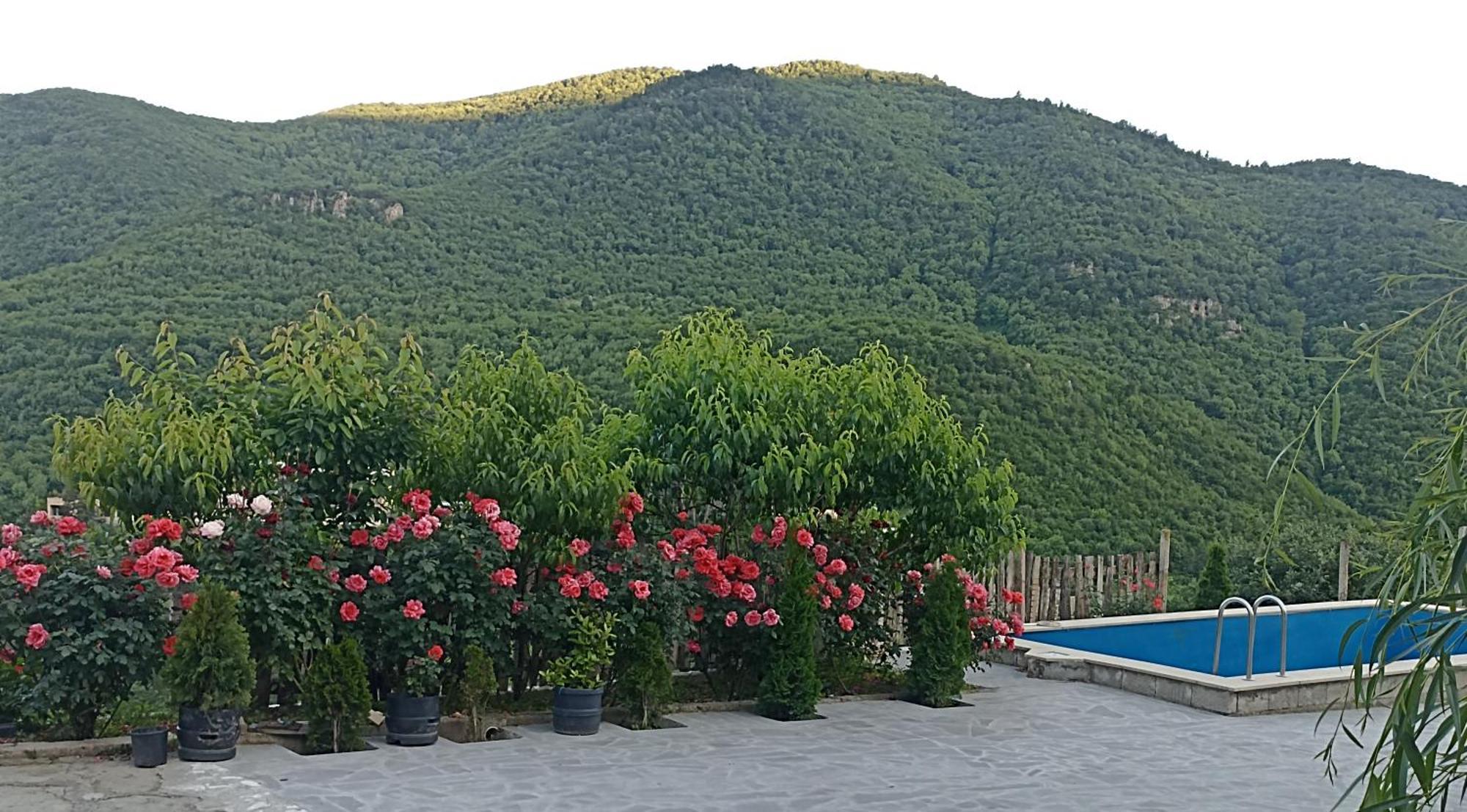 Green Garden Կանաչ Այգի イジェヴァン エクステリア 写真