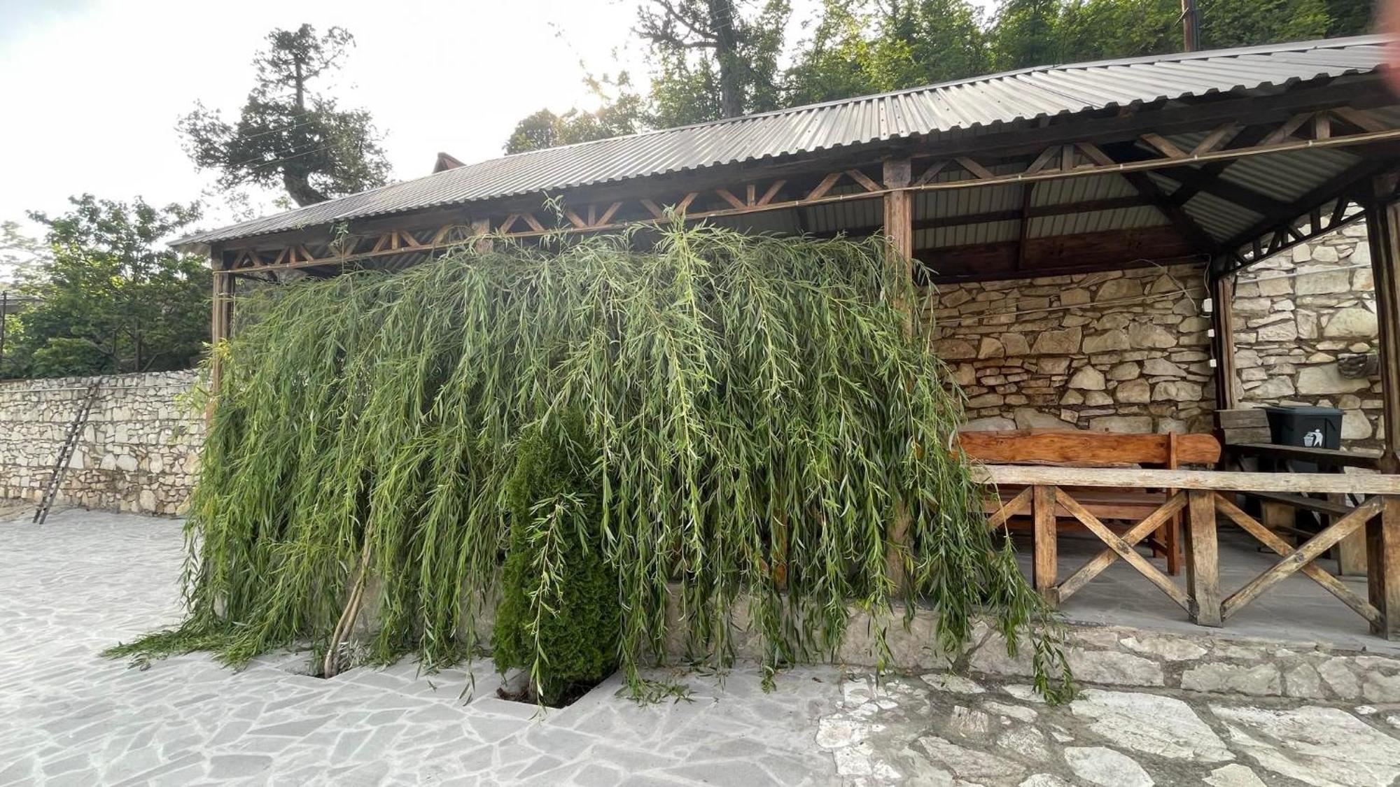 Green Garden Կանաչ Այգի イジェヴァン エクステリア 写真
