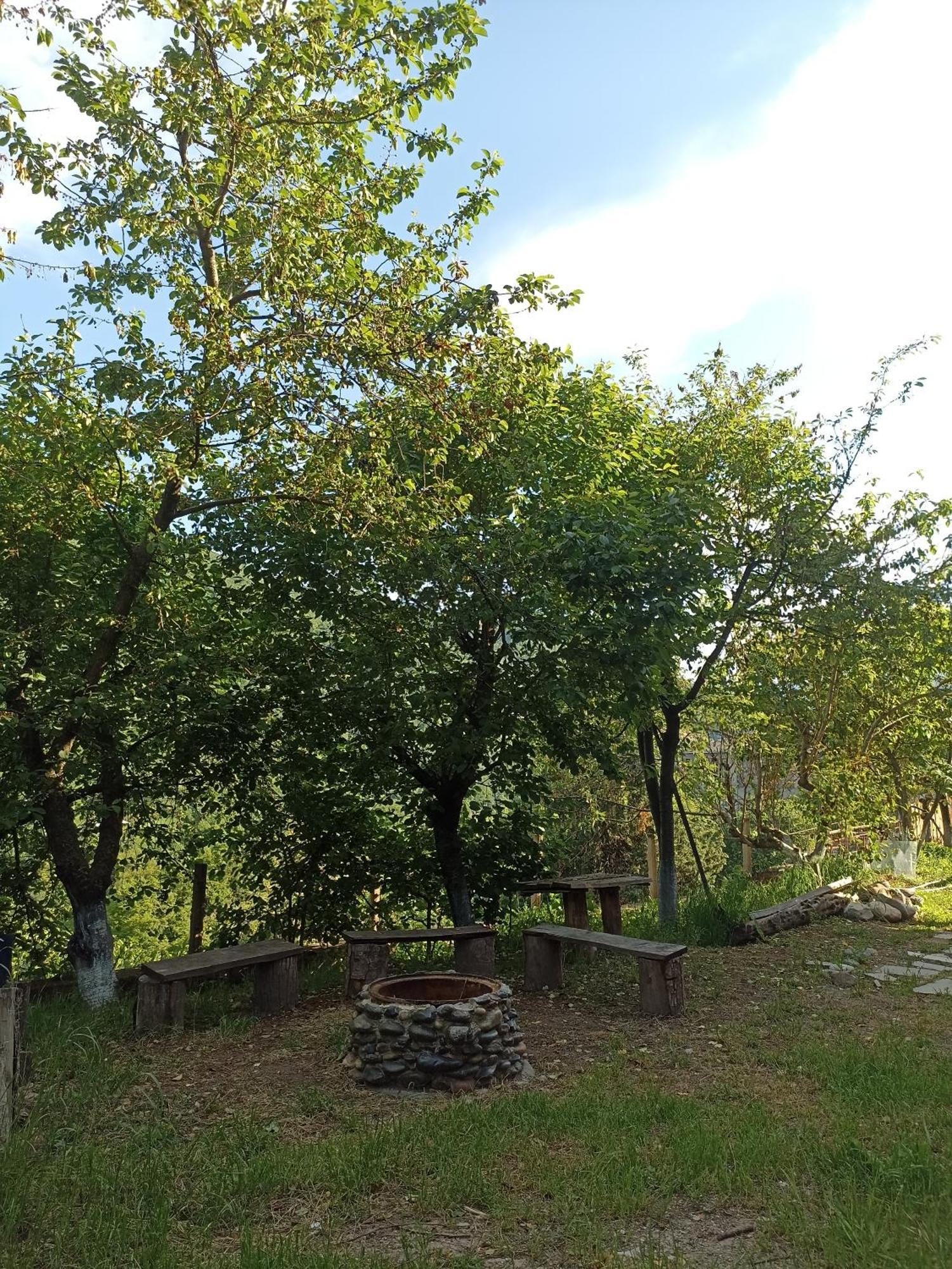 Green Garden Կանաչ Այգի イジェヴァン エクステリア 写真