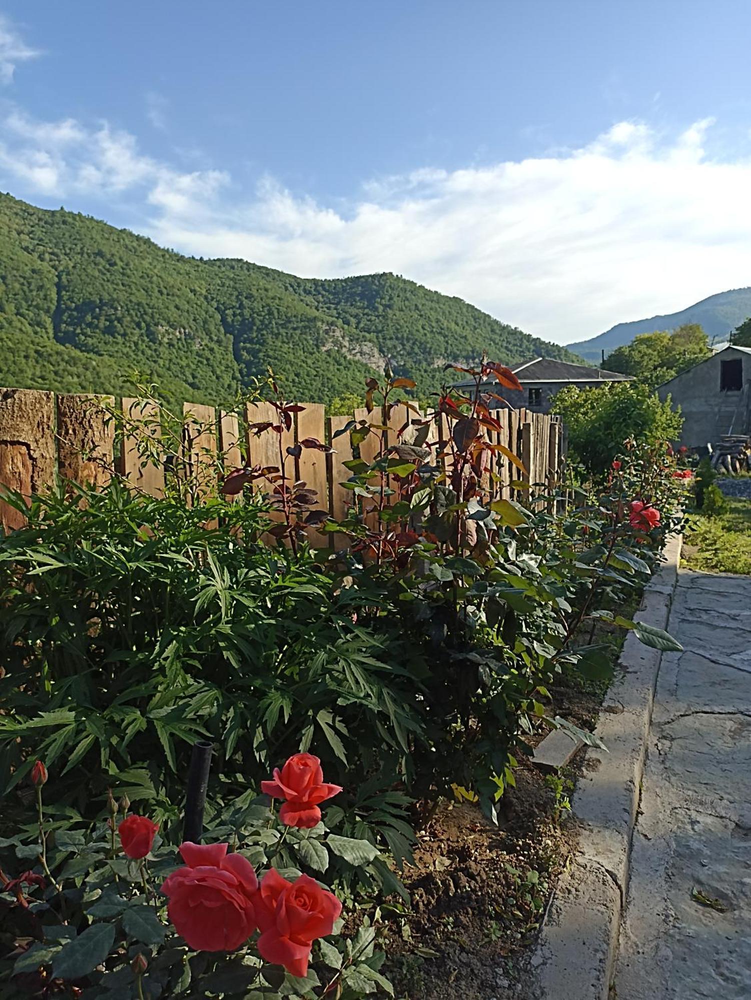 Green Garden Կանաչ Այգի イジェヴァン エクステリア 写真
