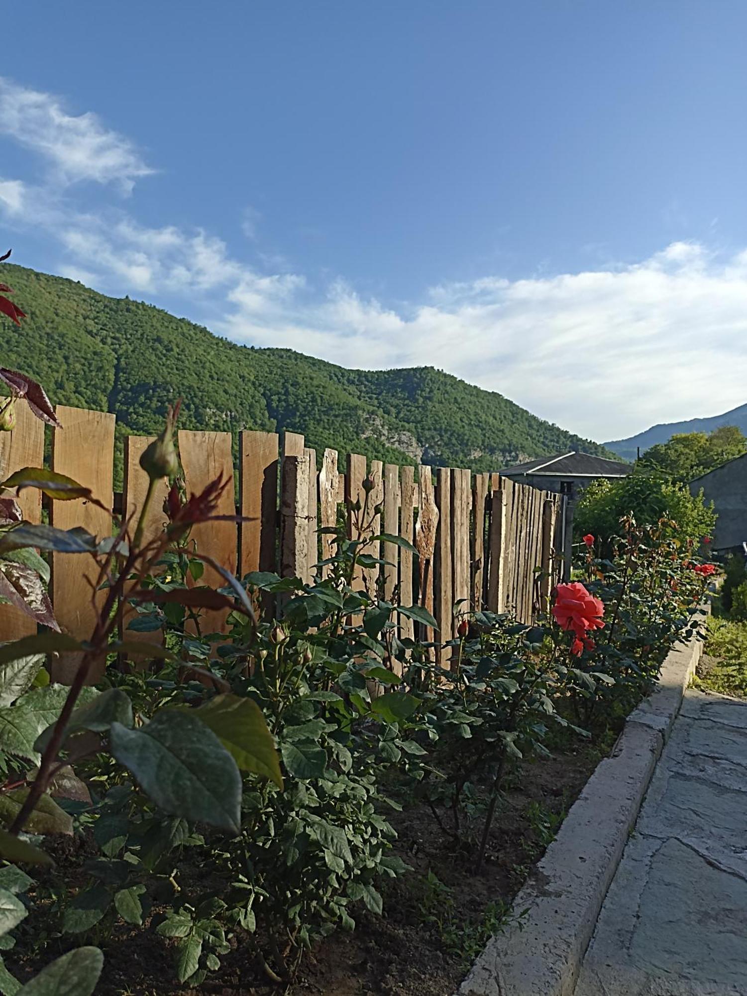 Green Garden Կանաչ Այգի イジェヴァン エクステリア 写真